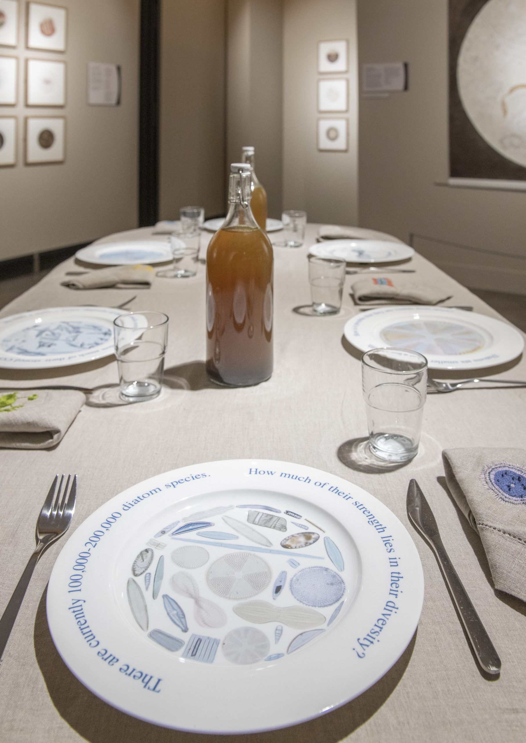 View of table set with artwork tableware decorated with microbiology from the soil.