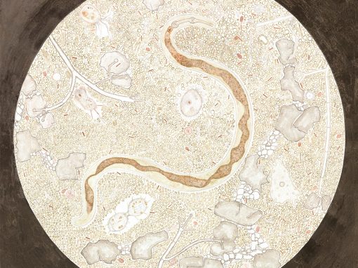 The Intelligence of the Mycorrhizosphere, 2022