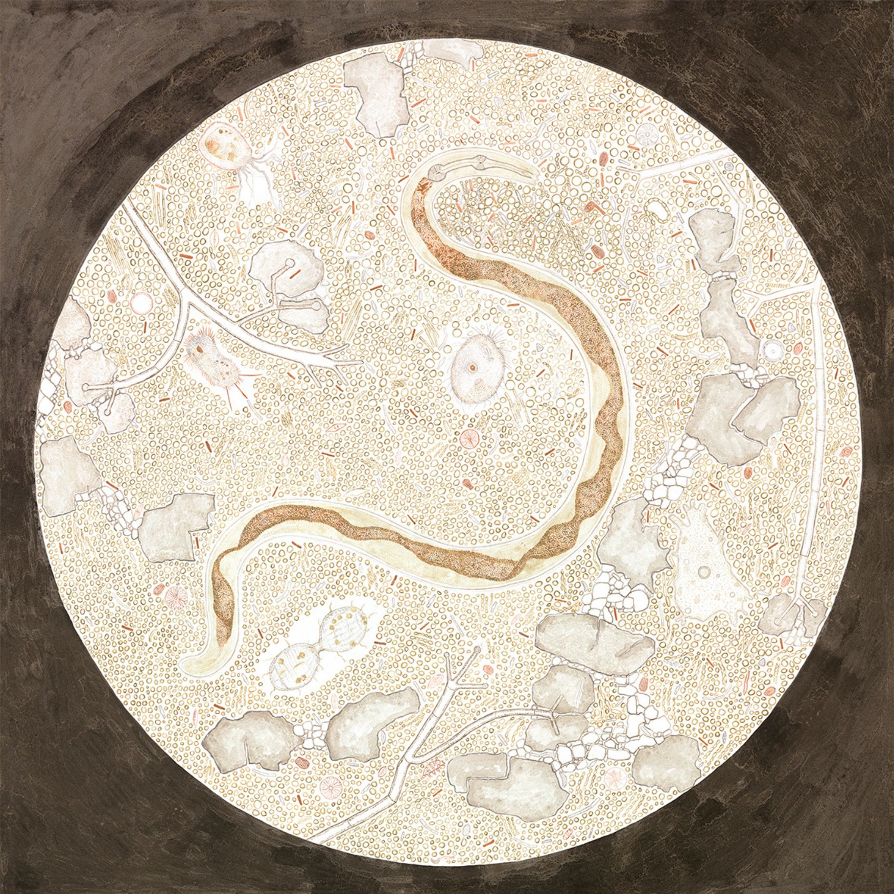 Living Soil, Royal Botanic Garden Edinburgh, 2023